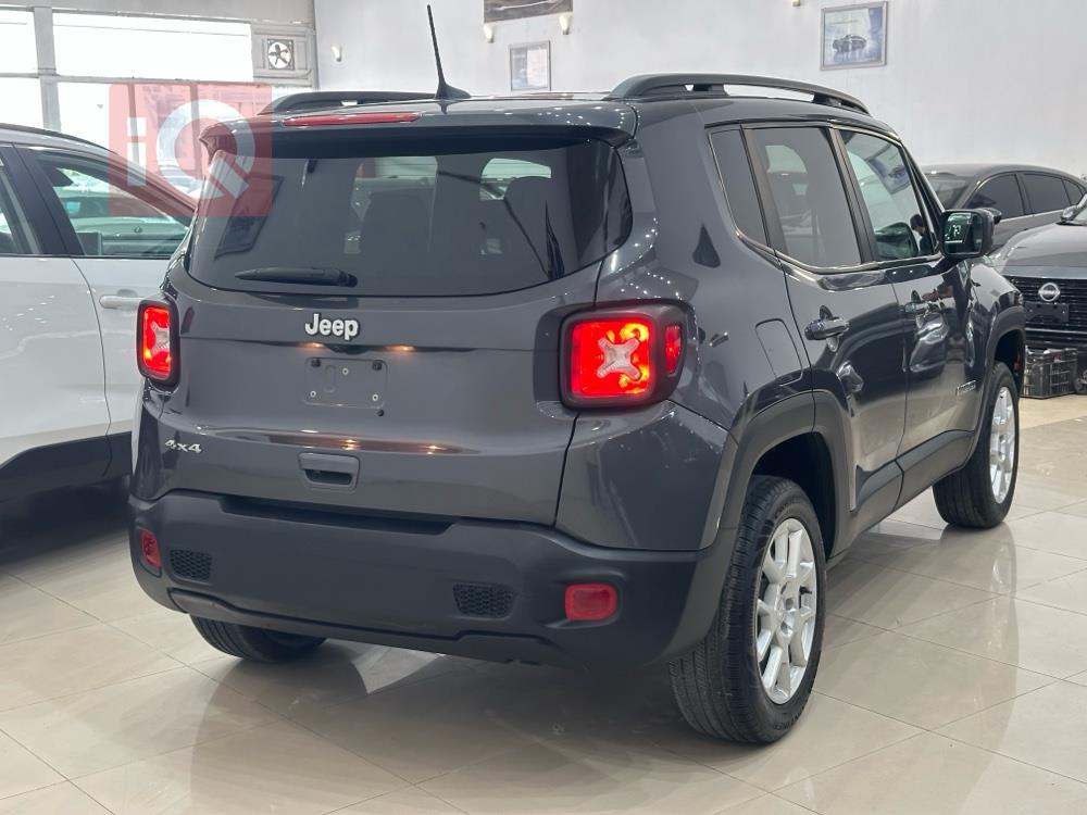 جيب رينيجيد